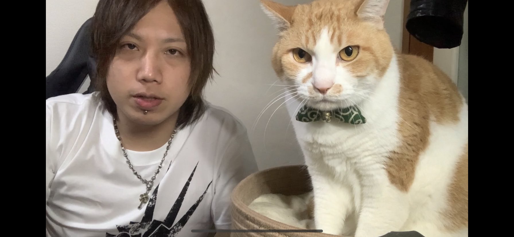 煉 虎徹 Youtube更新 暫く更新出来なかった理由を話します T Co V35oaxqjlk Youtubeより T Co Zbpg2sz8dv Twitter