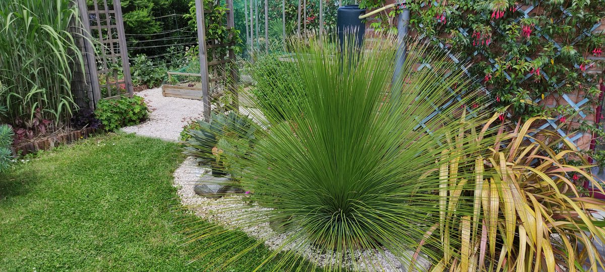 chuwba46's tweet photo. Zone des cactus et autres plantes de terrain aride :) https://t.co/7MLMeAz03Y