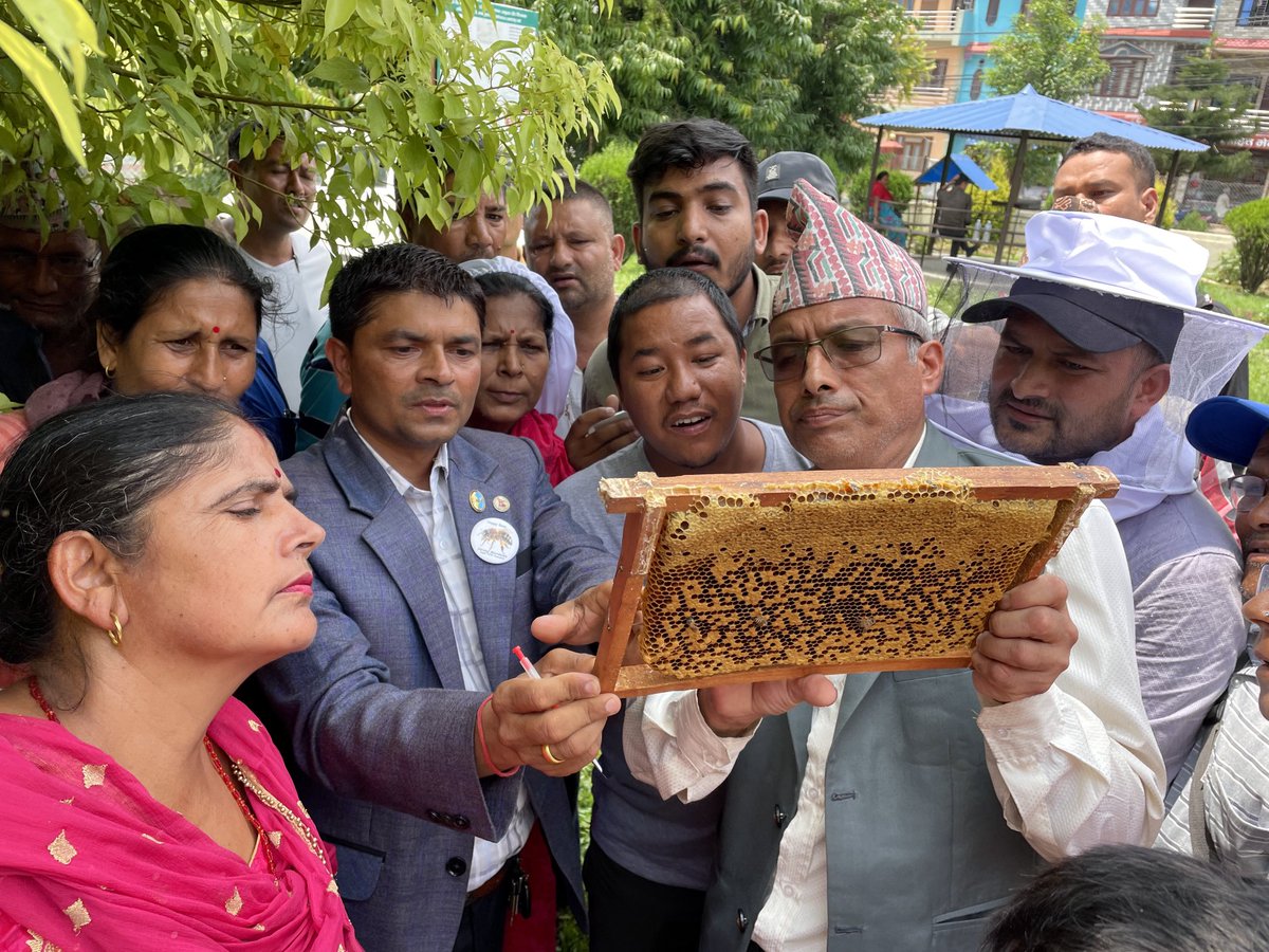 narayanwagle's tweet image. मौरी कसरी पाल्ने, रानी कसरी पार्ने? हरेक घर धुरी बन्न सक्छ रे घार धुरी! 
#Tanahun #BeeKeeping #FarmersWorkshop