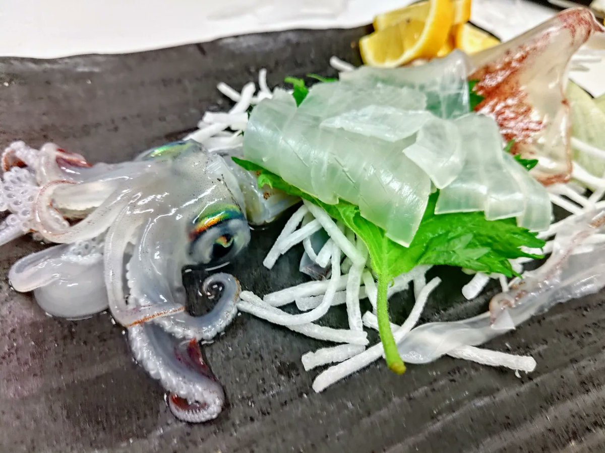 okunocchi802's tweet photo. #イカメタル
デビュー‼️　
そう甘くはなく、辛うじて一杯ゲット、、、

お隣の方に頂いたスルメ２杯は沖漬けに、先輩からもケンサキ一杯頂き、お土産は確保😆😆

ブクブクしながら、生かして持ち帰りましたが、生き残ったのは１杯😓😓😓活け作りに挑戦‼️

先輩、お隣のお兄さんありがとうございました https://t.co/a0LHDlE9b8
