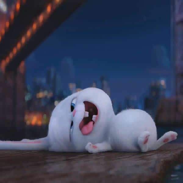 ___Hanuel's tweet photo. @VA18x7 Bas Garmi bhut hain .... 🥵 https://t.co/1TJvn7McVl