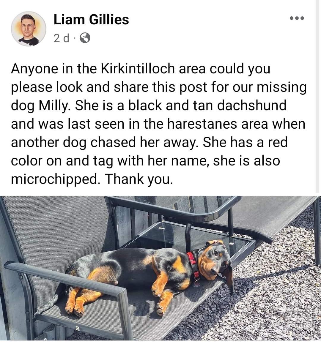 rosiedoc666's tweet photo. MILLY MISSING #KIRKINTILLOCH #SCOTLAND
https://t.co/OUAAHCSGjY
https://t.co/Ouh0DSRb3F
could you please look &RT post for #missing dog?black&tan #dachshund last seen in the #harestanes area when a dog chased her away. Wearing red collar/tag
CHIPPED TY
@linda_kinnon @bs2510 https://t.co/XjFF9ARHji