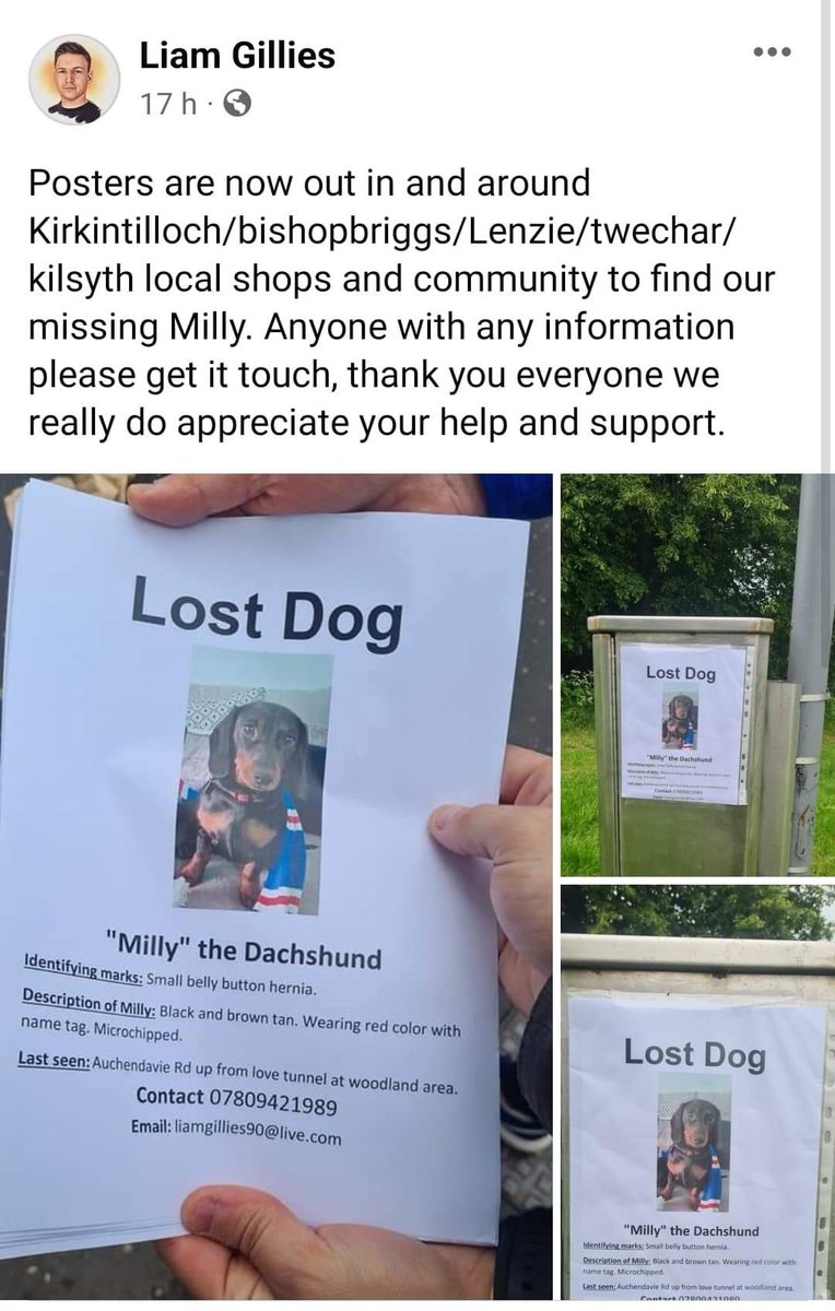 rosiedoc666's tweet photo. MILLY MISSING #KIRKINTILLOCH #SCOTLAND
https://t.co/OUAAHCSGjY
https://t.co/Ouh0DSRb3F
could you please look &RT post for #missing dog?black&tan #dachshund last seen in the #harestanes area when a dog chased her away. Wearing red collar/tag
CHIPPED TY
@linda_kinnon @bs2510 https://t.co/XjFF9ARHji