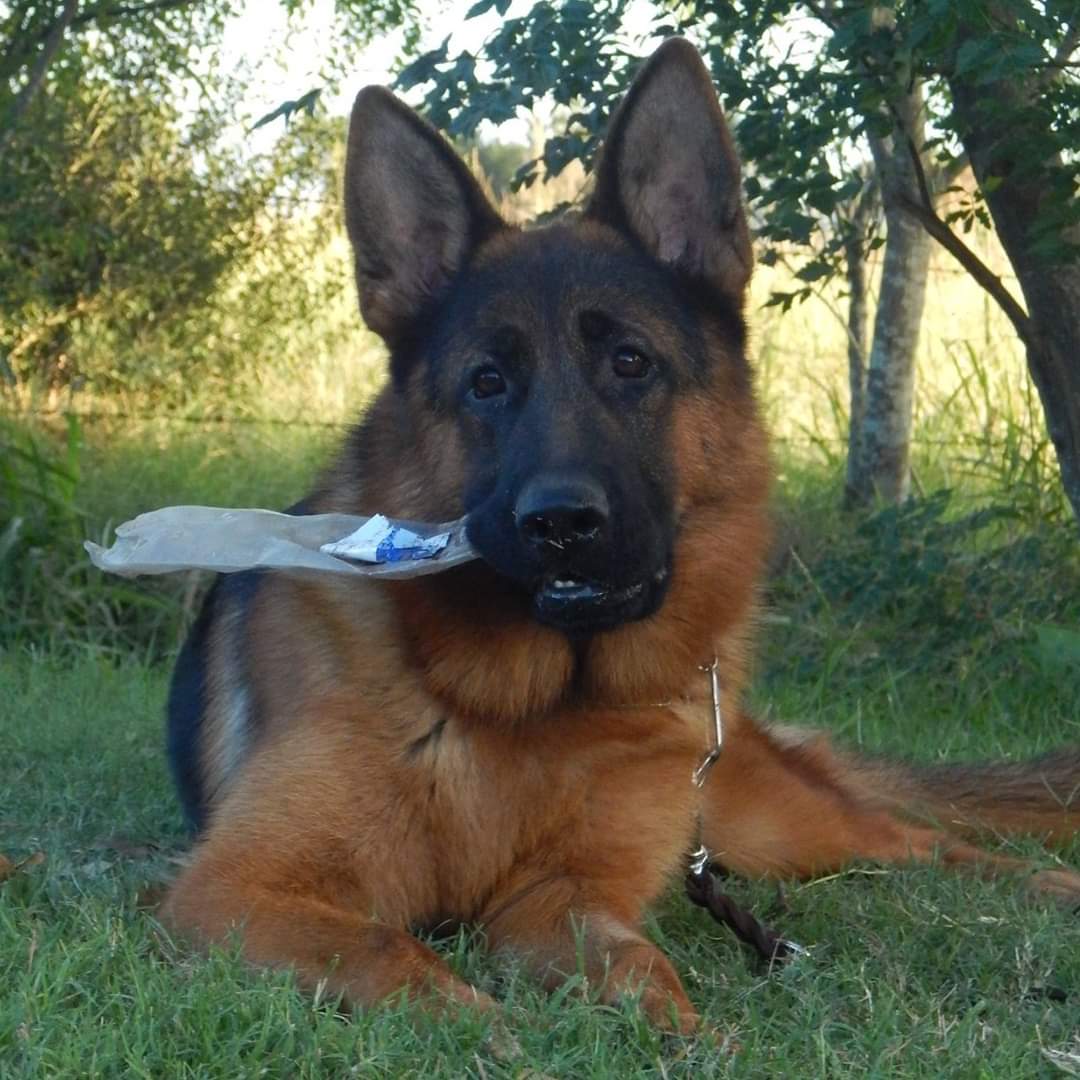 BUENOS DÍAS, FELIZ DOMINGO PARA TODOS!!!