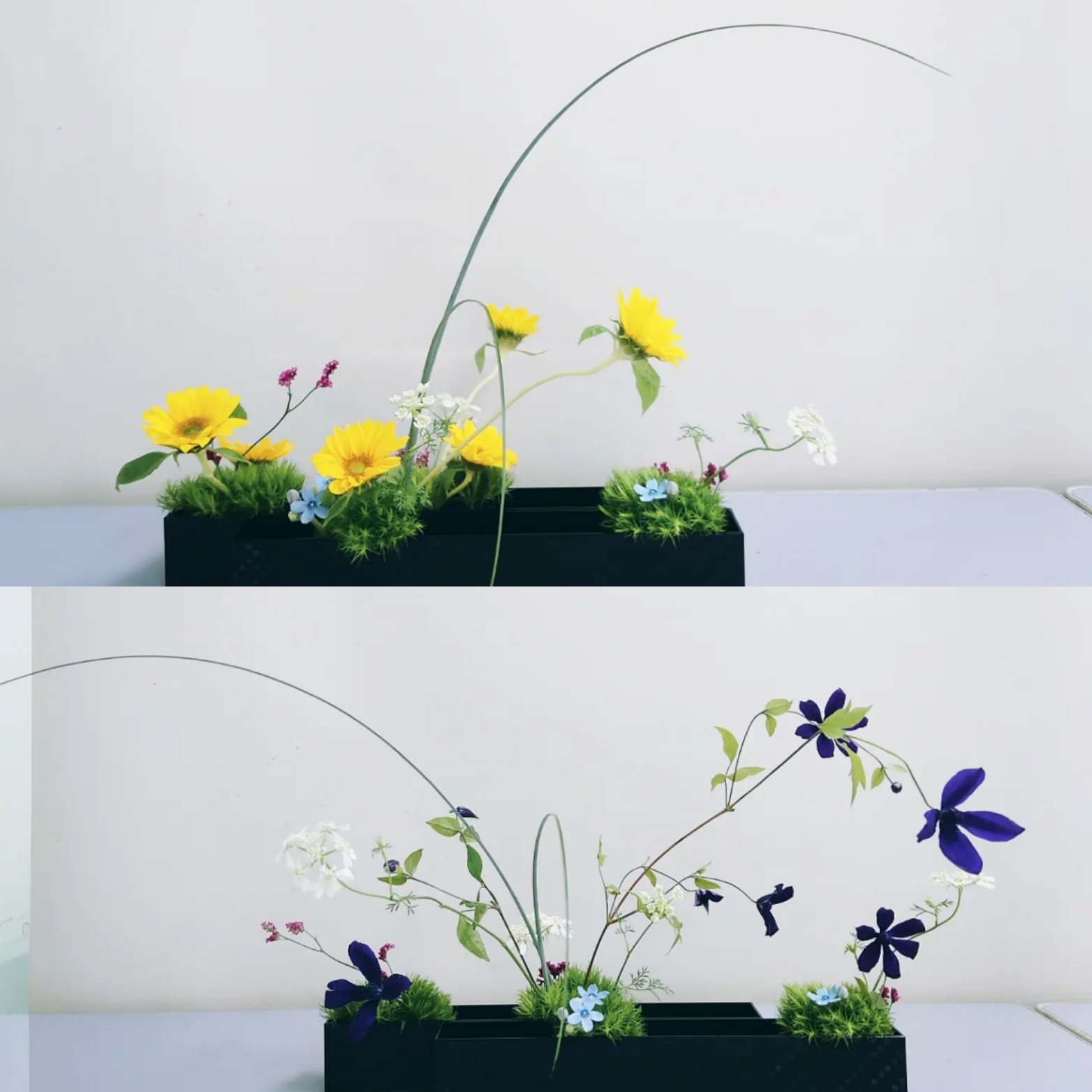 花緑 Karoku Karoku Ikebana Twitter