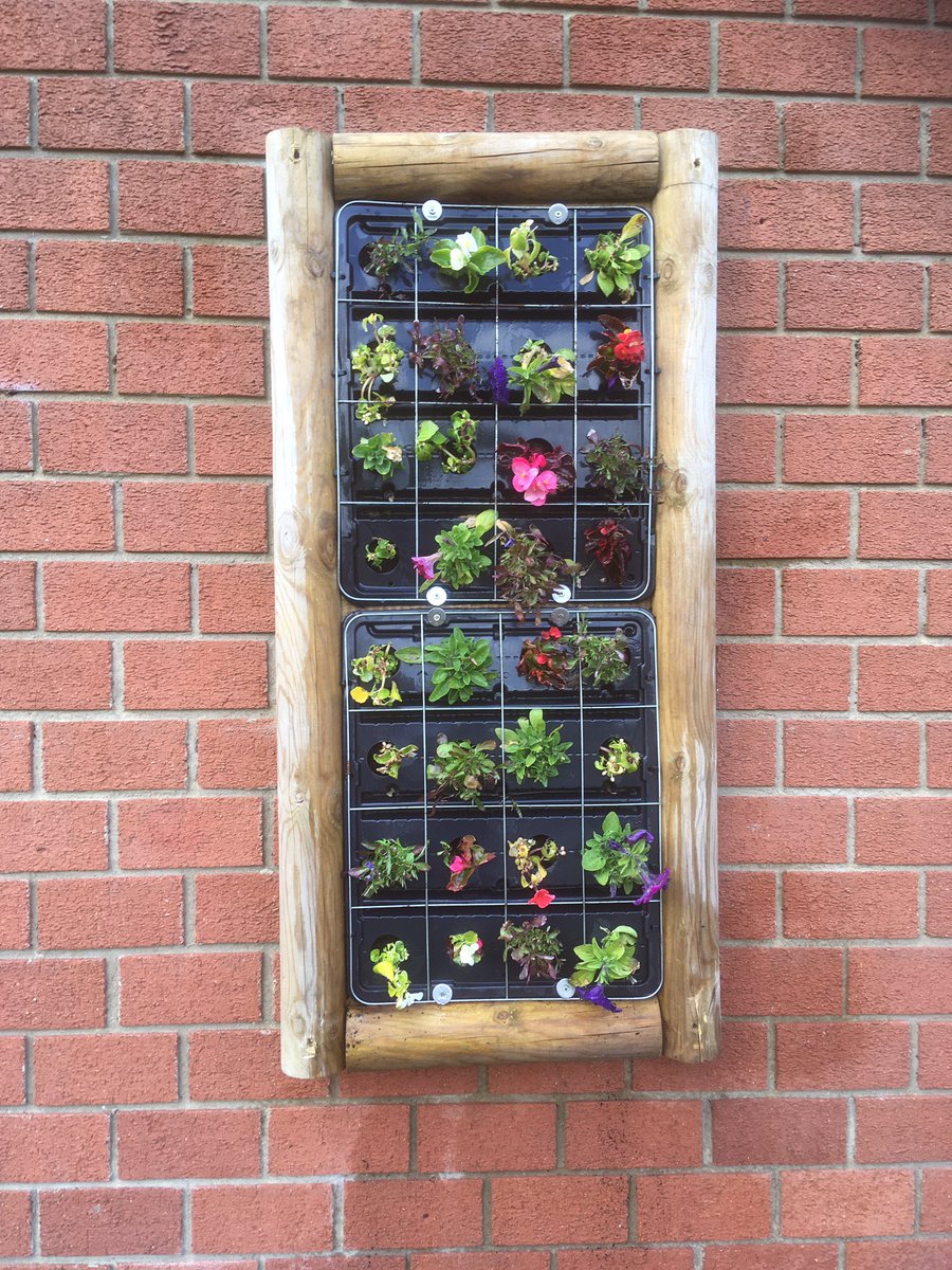 PaulaWarrener's tweet photo. @FourfieldsSc is now proudly showing off its living picture made by it gardening club. Thank you to my support team for getting out of bed on a Sunday morning to help me. Love you all. Now let’s watch it grow!👩🏼‍🌾💜@RHSSchools @YaxleyParish https://t.co/SEZk0a9Wzr