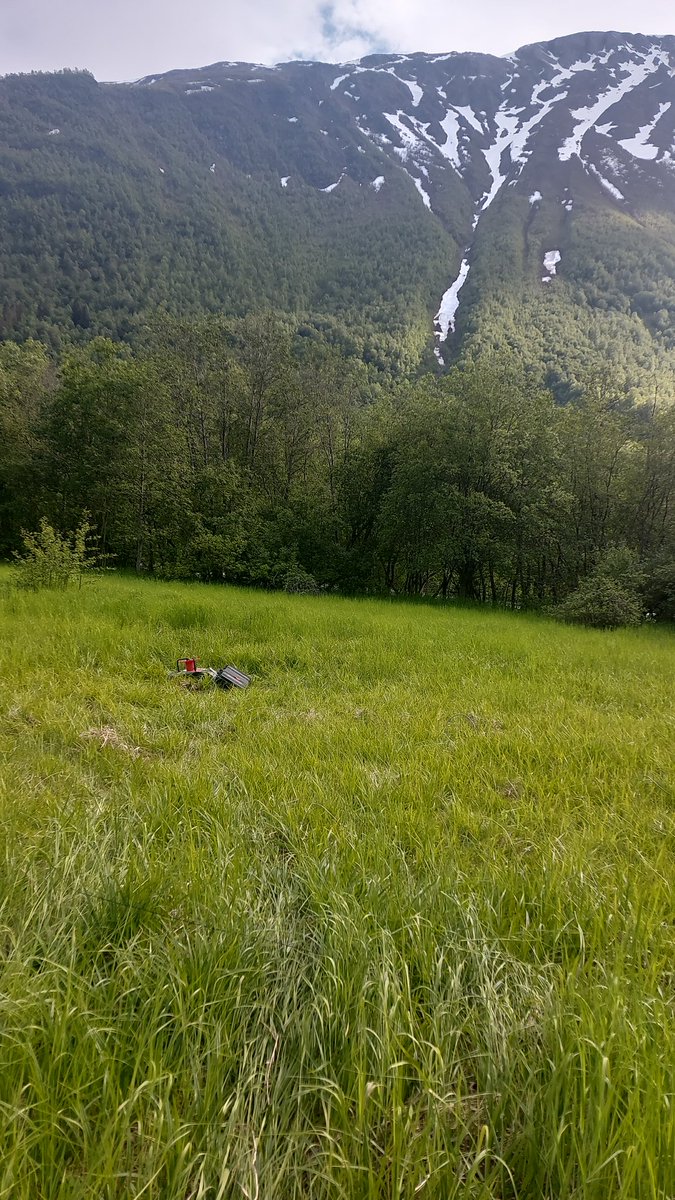 Magnetotelluric measurements in Norway is awesome!