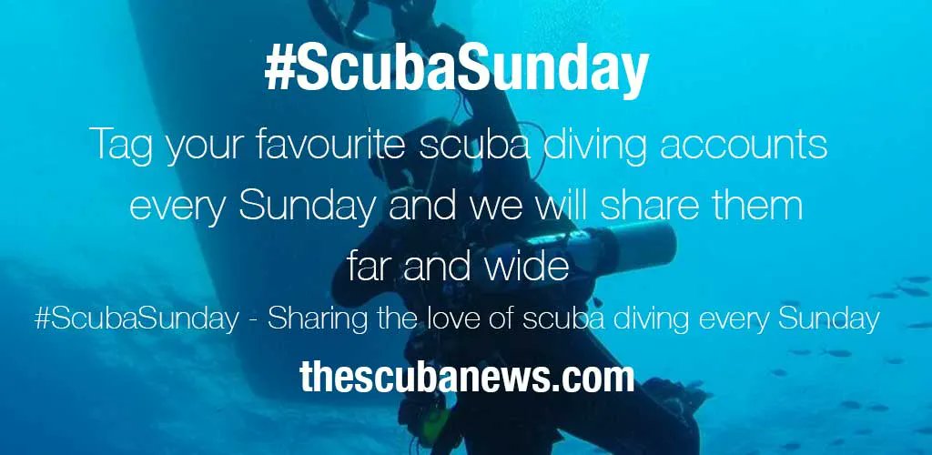 TheScubaNews's tweet photo. Time for some #ScubaSunday #ScubaDiving recommendations...Get following: @DiveRAID @diverdowndeep @DiveMedia @SnorkellingIrl @fourth_element @sharkangels @TekdeepAsia @NorthernDiverUK @CDWSegy @jillheinerth @GiselleHoliday @DiversAlert @diveSSI @WetspotImages @redseacollege 🤿👌 https://t.co/qzdwRJUz2c