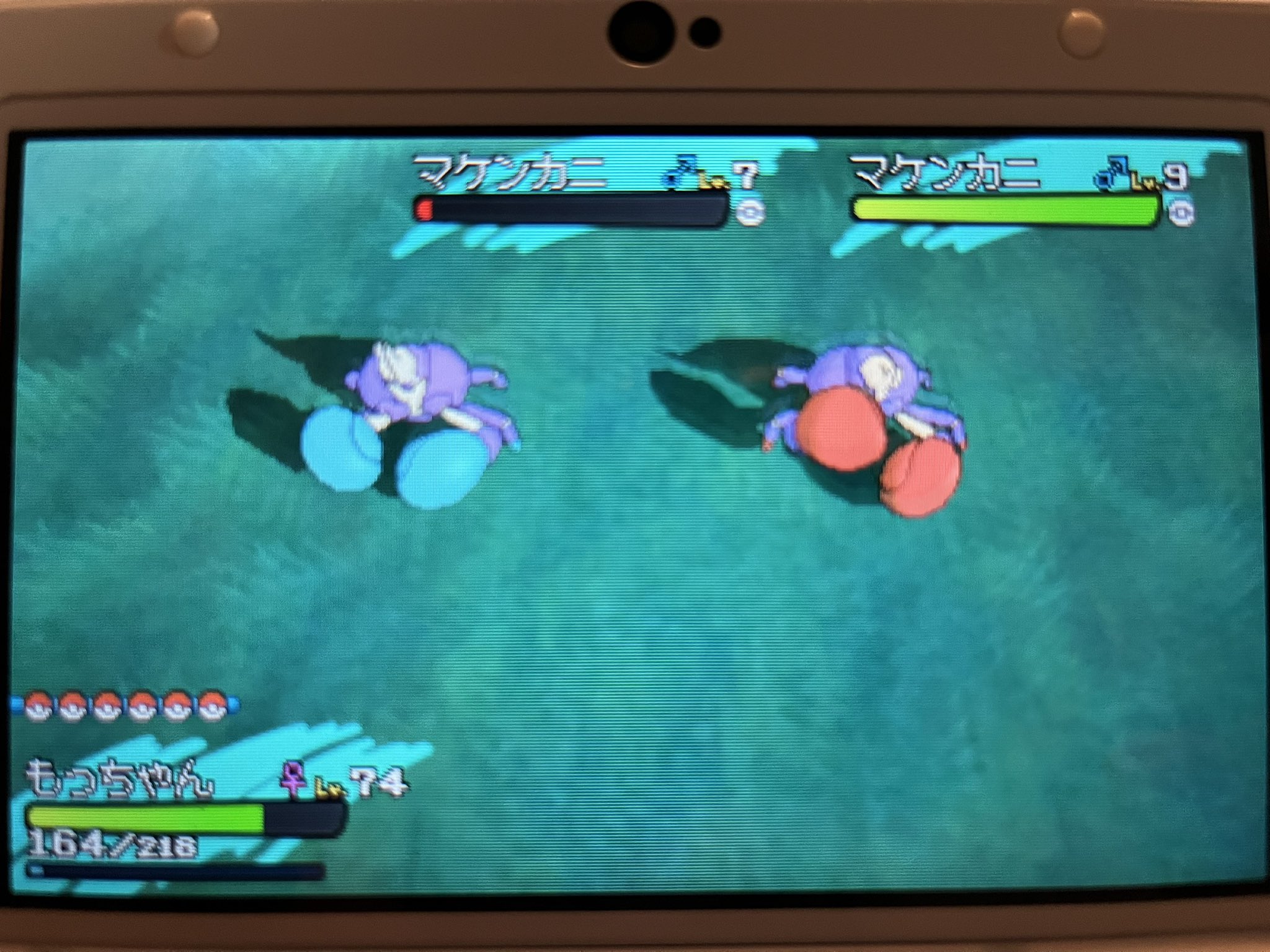 ぽぴい ポケモンyとクリスタルハマり中 サンムーンでマケンカニ色違いゲット ポケカの大会観ながらやってたら出てくれた 手が赤くなってボクシンググローブ付けてるみたい 名前はジョーです 明日のジョー から取った サンムーン 色違い