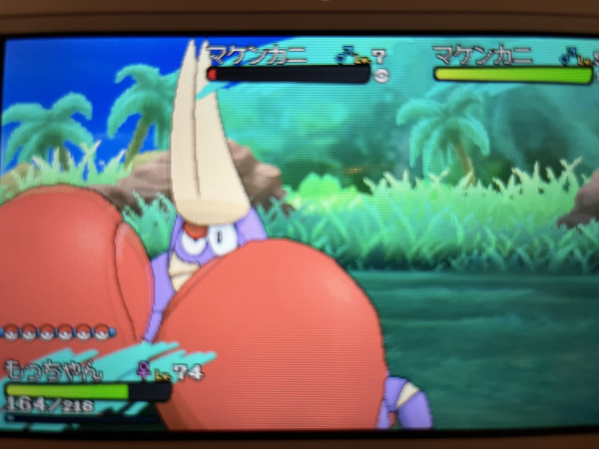 ぽぴい ポケモンyとクリスタルハマり中 サンムーンでマケンカニ色違いゲット ポケカの大会観ながらやってたら出てくれた 手が赤くなってボクシンググローブ付けてるみたい 名前はジョーです 明日のジョー から取った サンムーン 色違い