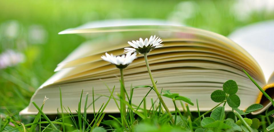 casadellibro's tweet photo. ¿Qué libro lees hoy? https://t.co/0dcYDD8hqQ