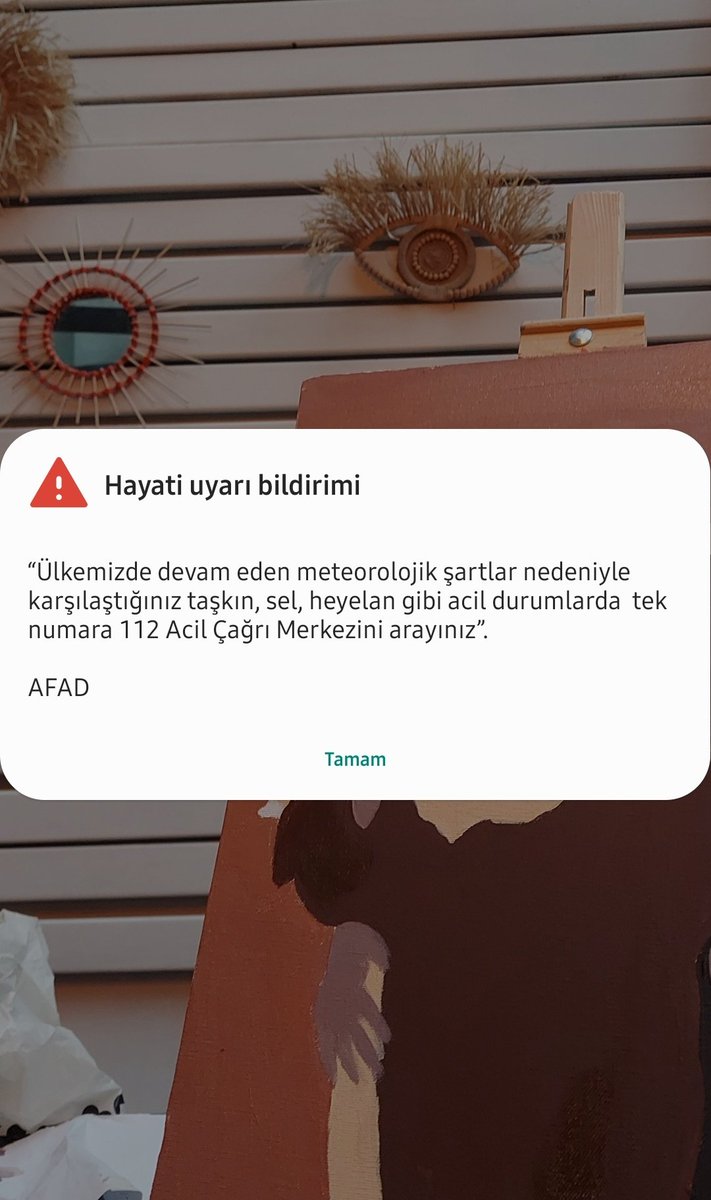 Evdeki tüm telefonlarda aynı anda siren çalarken kardeşim DEPREM OLUYO GALİBA, KAÇALIM...