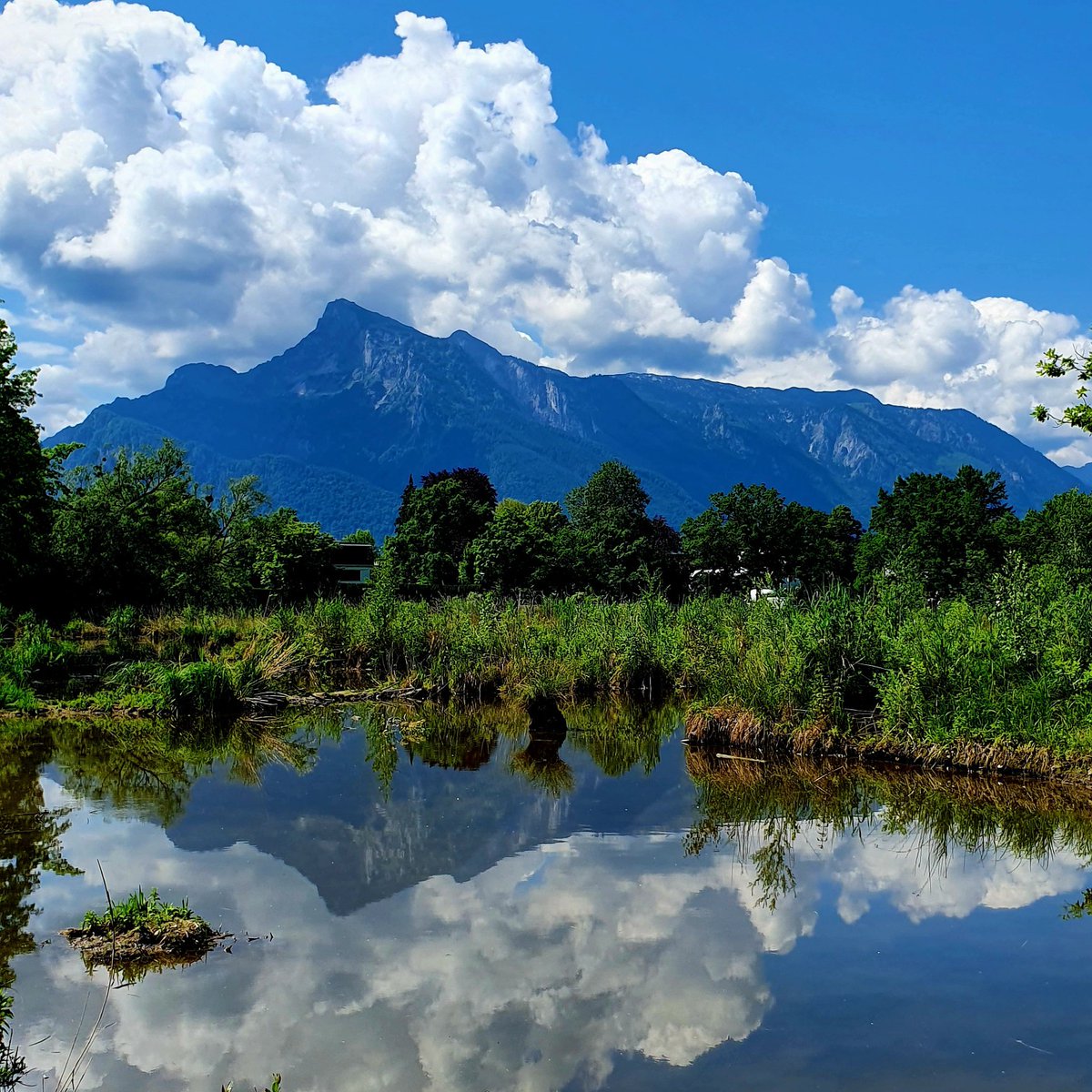 Nur wenige kennen dieses grüne Naturgebiet in #Salzburg, #natur #landschaft #leopoldskron #nature #naturelovers