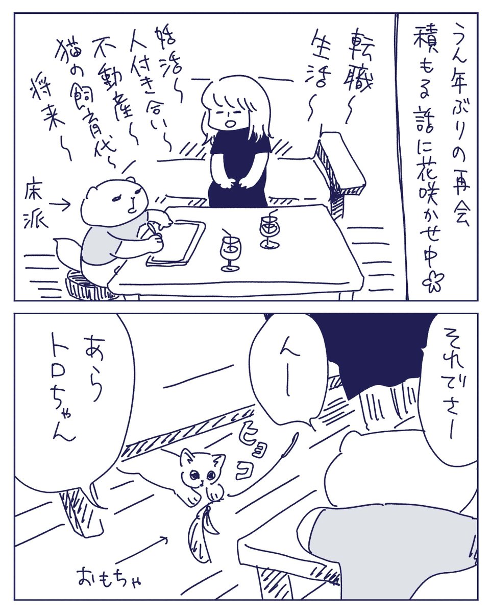 リーチ短い猫ちゃんズ訪問
1/2 