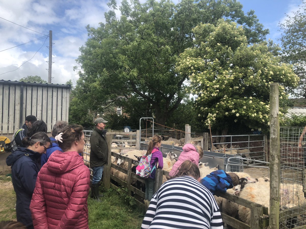 Susan's Farm tweet media