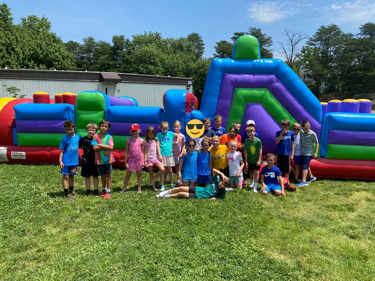 Miss Aronson's Sunflowers 💛 tweet media