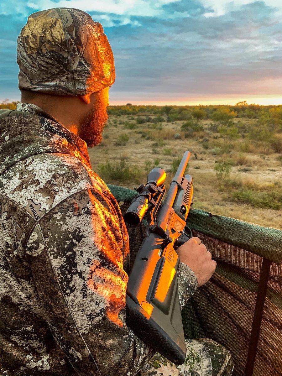 DeerGearTV's tweet photo. Are your hunts mainly going after a specific deer or more of a target of opportunity hunt?
#umarexairguns #truetimbercamo #axeonoptics #hunting https://t.co/xCRivgIuqK