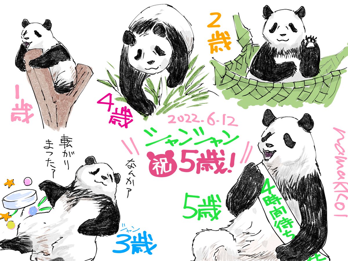 シャンシャンおめでとう5歳🐼 