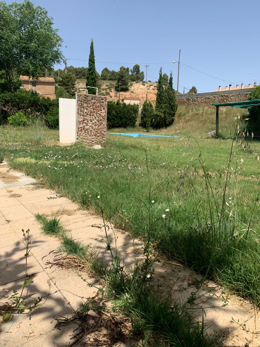 Piscina_LP's tweet photo. 🌲☀️ Así está la piscina a día 12 de junio
🤬 ¡Es inaceptable!
⁉️ ¿Conseguiremos abrirla el domingo 26?
@Mario_SanGon @AYTOREQUENA https://t.co/JnmfmRk44E