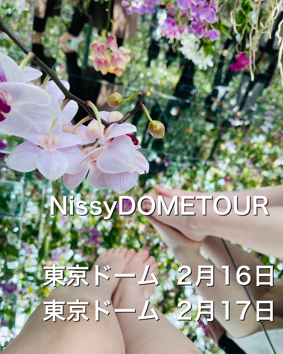aiaika0930's tweet photo. ✨ꫛꫀꪝtag✨

LIVE当選したので現地できる方募集します！！
現地できる方リプ、DMお願いします！！
東京ドーム2日間

#AAA好きな人と繋がりたい #Nissy好きな人と繋がりたい 
#NissyEntertainment4thLiveDOMETOUR https://t.co/qPfghNYLW5
