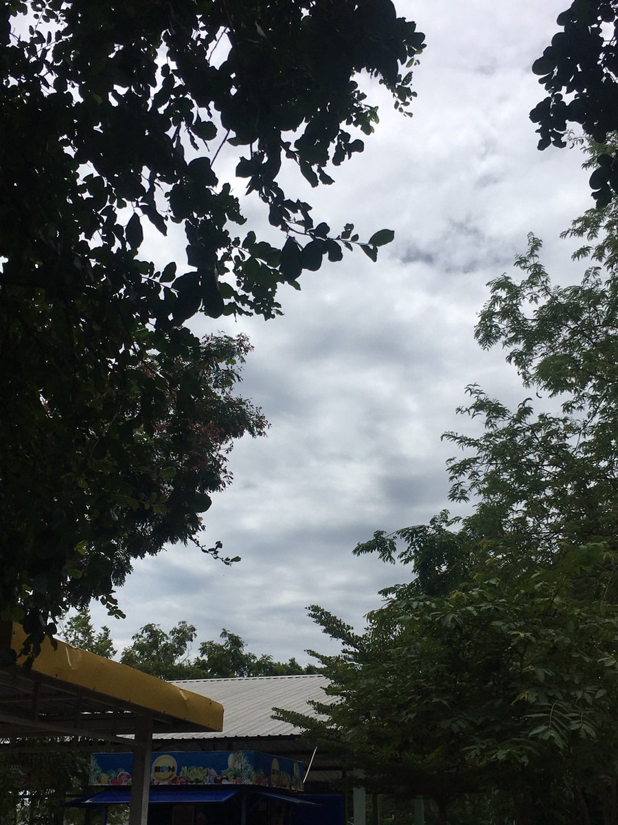 ฝนจะตกก🌧