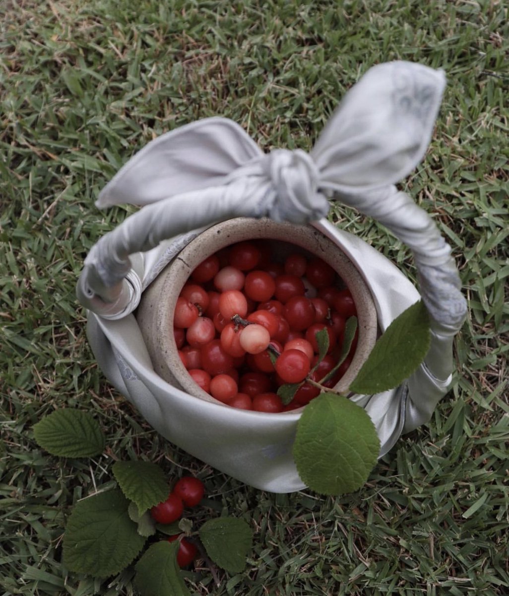captainyeowol's tweet photo. We cherry picked all day. Now, what are we going to do with all of these? https://t.co/VDZS3ad02W