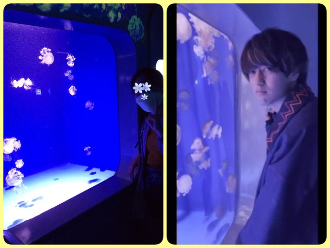 クラゲ水槽のtwitterイラスト検索結果