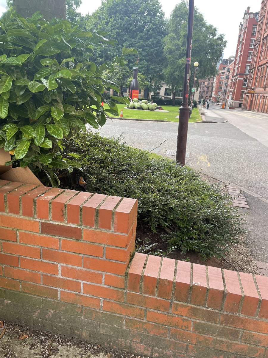 Amy Burgess tweet media