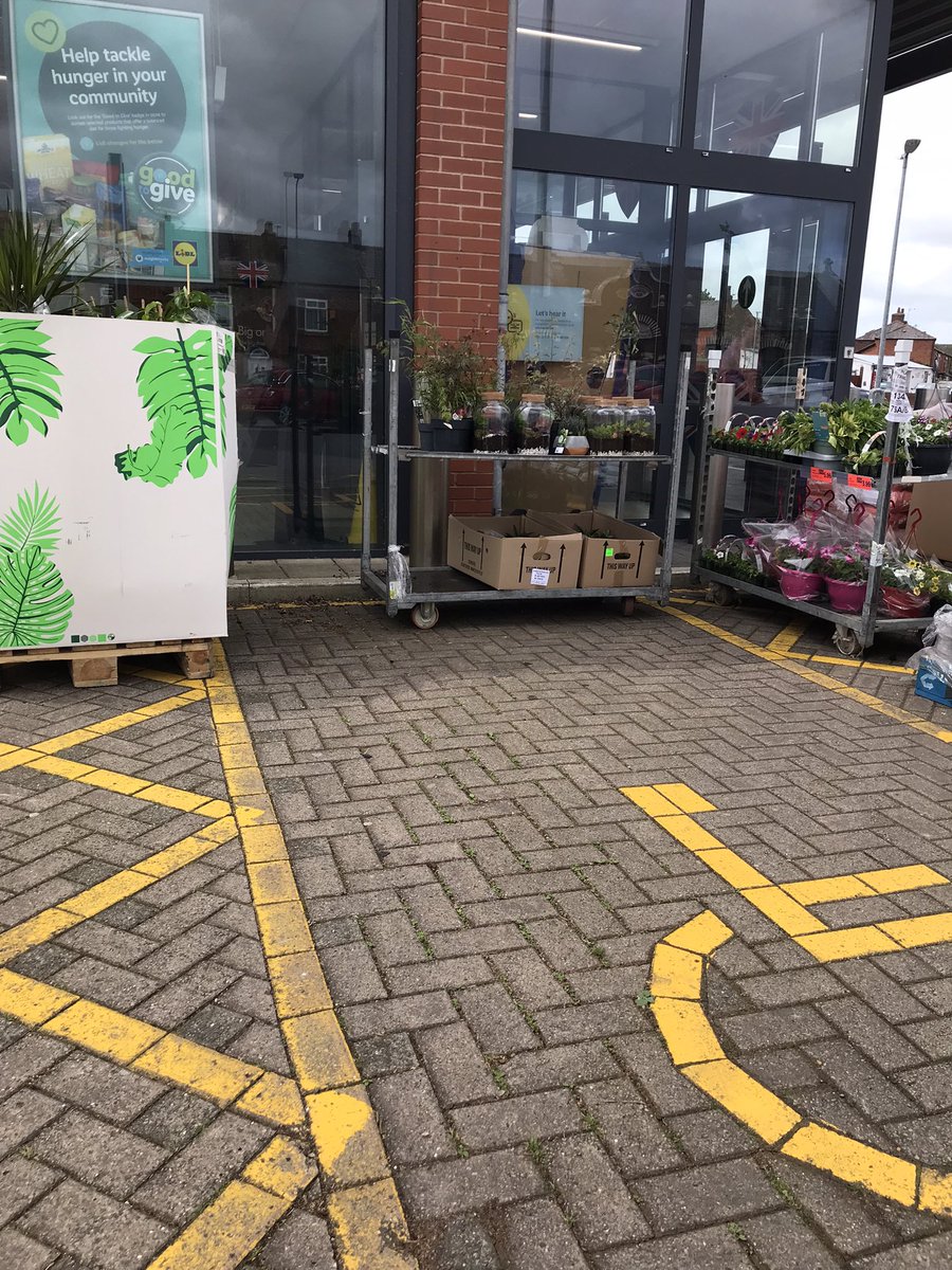 Zebra_Crossing_'s tweet photo. @LidlGB Pemberton, Wigan. Three disabled parking spaces and someone decided three was too generous and garden supplies are the priority. #Disability #disabled #EDS #zebra #discrimination #Lidl https://t.co/eFh8hju57t