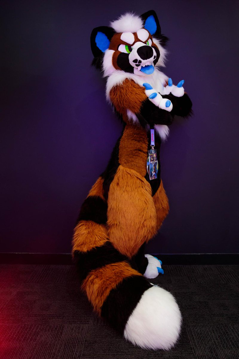 Confoxtion's tweet photo. Throwback to when I used to own this grumpy panda bean by @MulticolorBark #multicolorbark
Riot now belongs to @50DegreesOfRiot https://t.co/1KpyciszwS