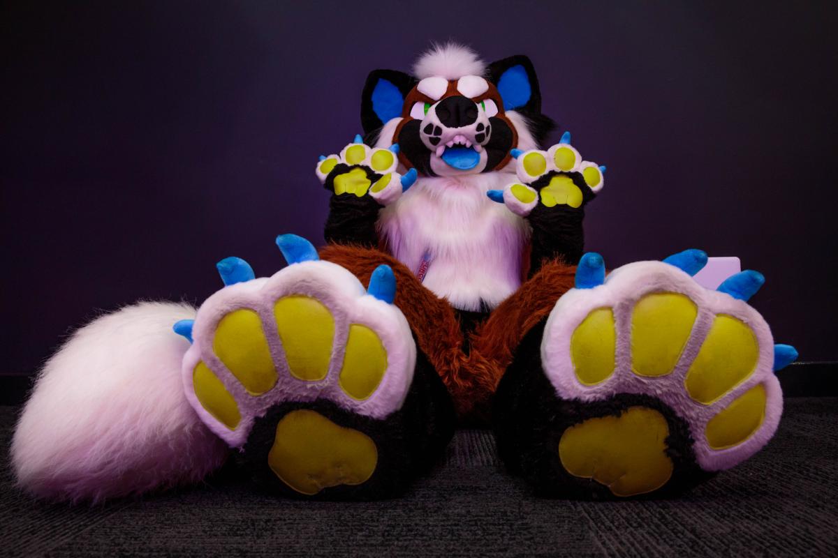 Confoxtion's tweet photo. Throwback to when I used to own this grumpy panda bean by @MulticolorBark #multicolorbark
Riot now belongs to @50DegreesOfRiot https://t.co/1KpyciszwS