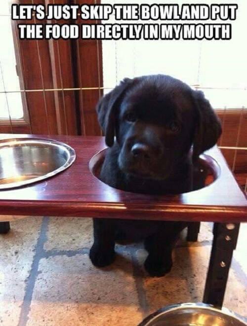 107.1 PSK (@1071psk) on Twitter photo 