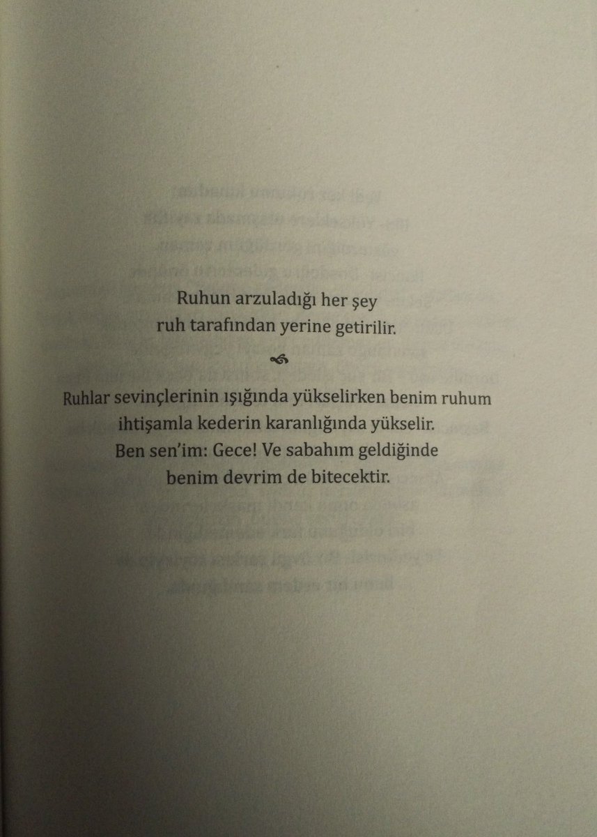 Melike Sağ (@melikesagg) on Twitter photo 