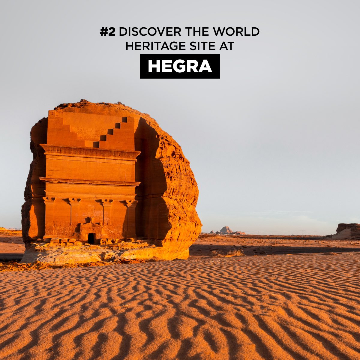 Travel Tours tweet media