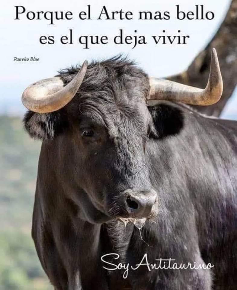 Hermana de mis hermanas ❤️ tweet media