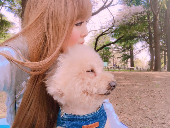 おやすみ世界🌍 おやすみチャチャ🐶 また明日💜 https://t.co/Ukwx6phm7Z