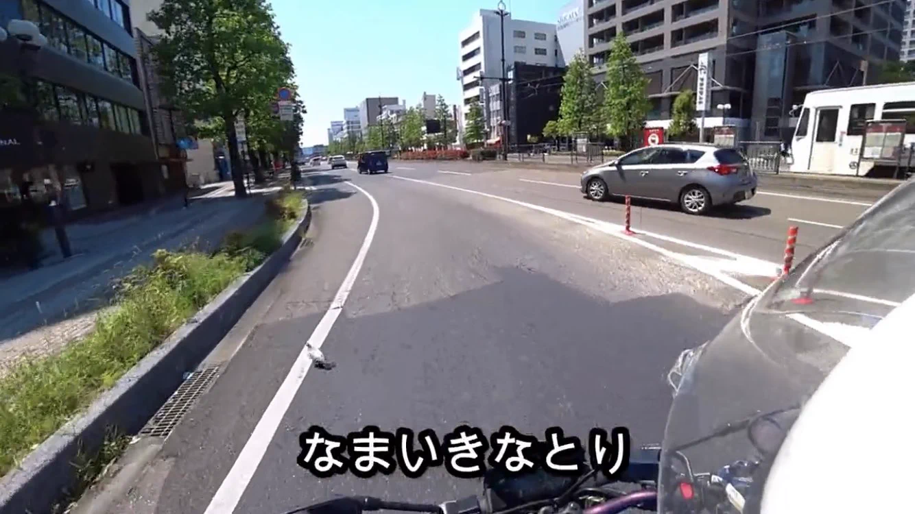 @GaijinRoman 外人ニキ
｢いかせないよ｣
｢横断歩道 つかってください｣
なまいきなとり
｢えっ？ダメなの？｣
｢わかったよ しょうがねぇな〜｣
｢横断歩道どこだ〜？｣
ワイ
｢いや飛べよ｣ 