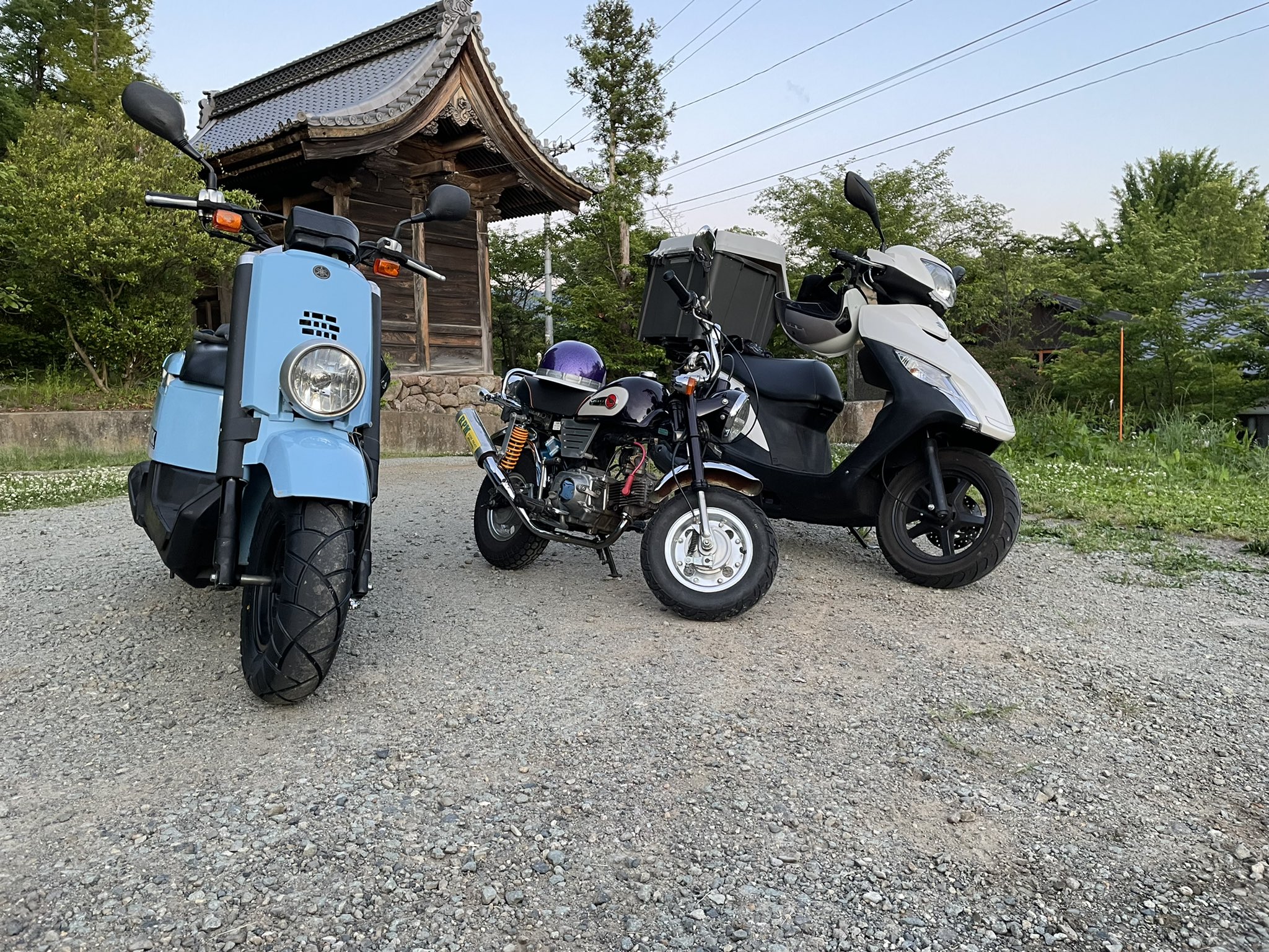 おまつ レジーナ バイオスキン用 新付属パーツ（まぶた3個セット）BE