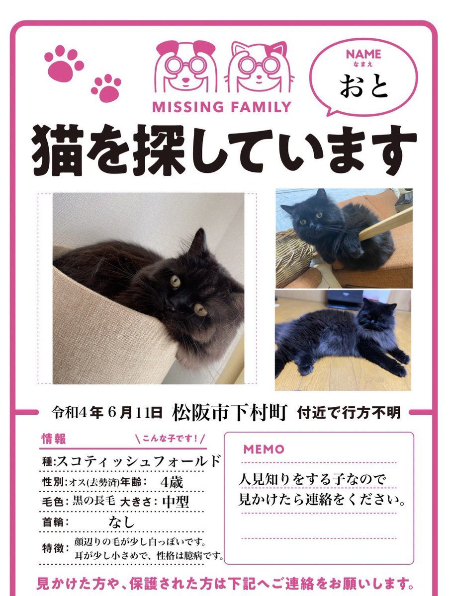 RioT1106's tweet photo. 引き続き猫を探しています

長毛種で全身真っ黒
4歳オス 去勢済み
人見知りで臆病
首輪なし
スコティッシュフォールドの立ち耳

何か情報がありましたらDMください。

 #拡散希望  #迷い猫 https://t.co/yoGufnbZPy