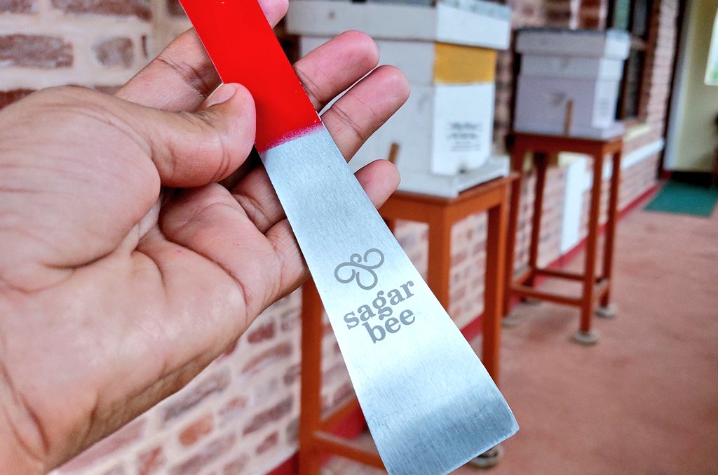 DhakalSaurav's tweet image. उपहारका लागि धन्यबाद । @SagarBeeHQ चिउरिको बिरुवा सहित ।। #SaveBee #Nepal