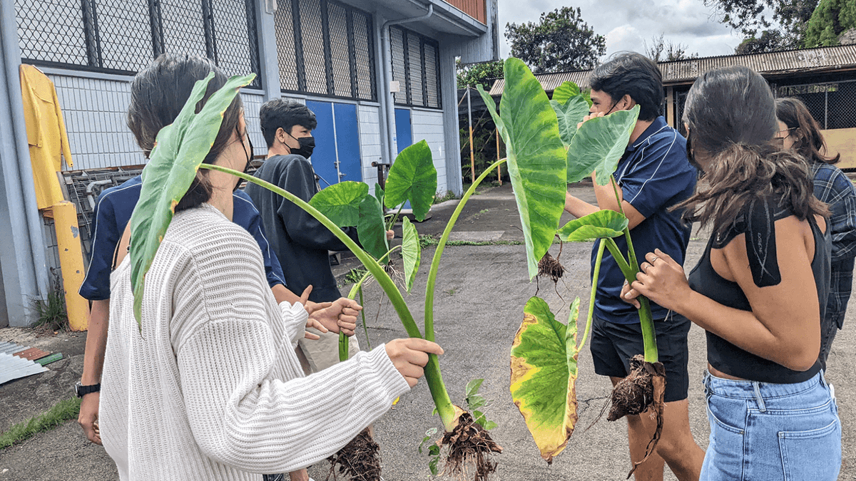 National Teacher of the Year Finalist <a href="/sayuri_neko/">Whitney Aragaki, PhD, NBCT</a> knows that place-based pedagogy shows students how to respect their surroundings and actively think about the future of their home. 

Hear her story in this episode of #TeachersinAmerica: spr.ly/6014zZ9ng 🎧