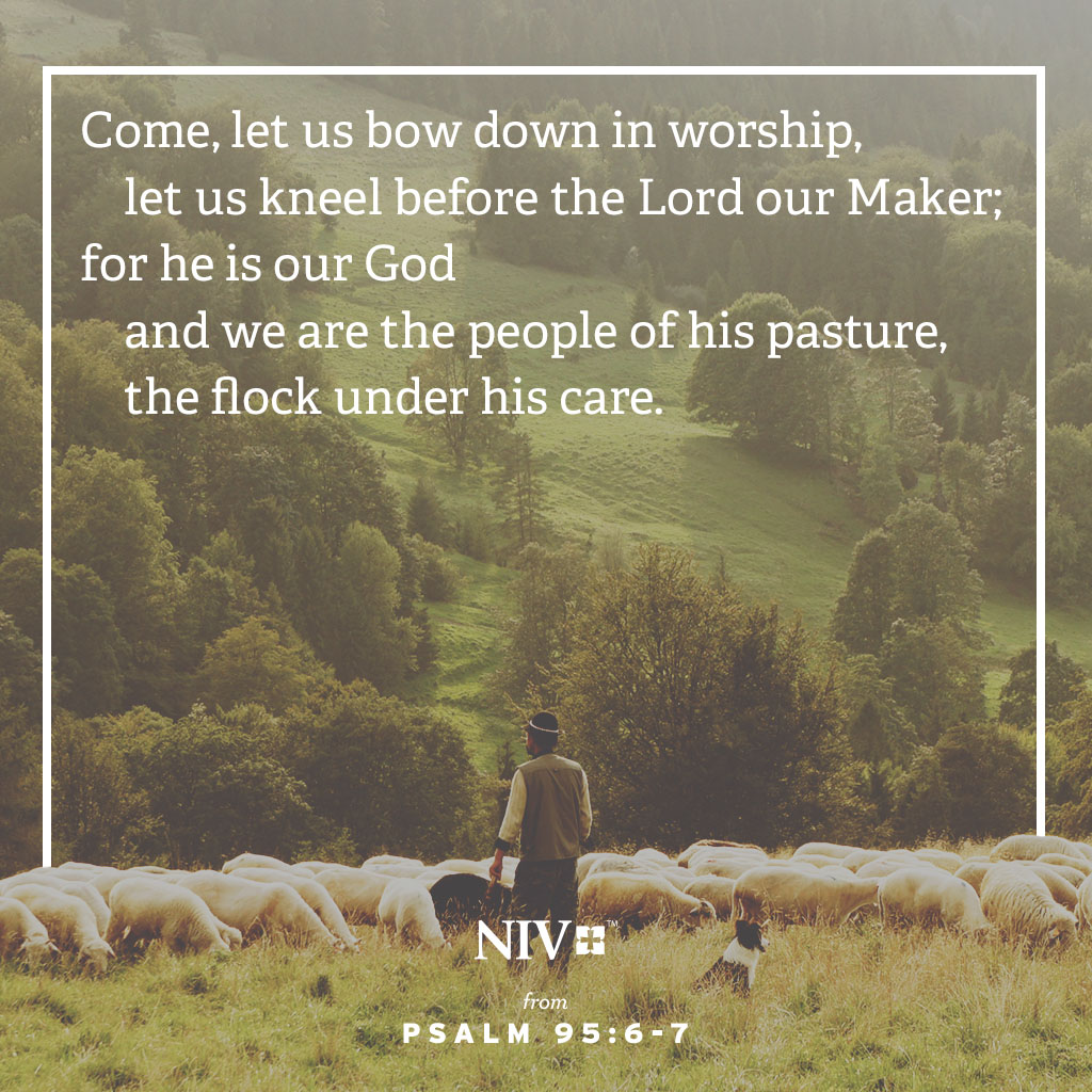NIVBible's tweet photo. Come, let us bow down in worship, let us kneel before the Lord our Maker; for he is our God and we are the people of his pasture, the flock under his care.

Psalm 95:6-7

#votd #verseoftheday #niv #nivbible https://t.co/yr67eWrMRV