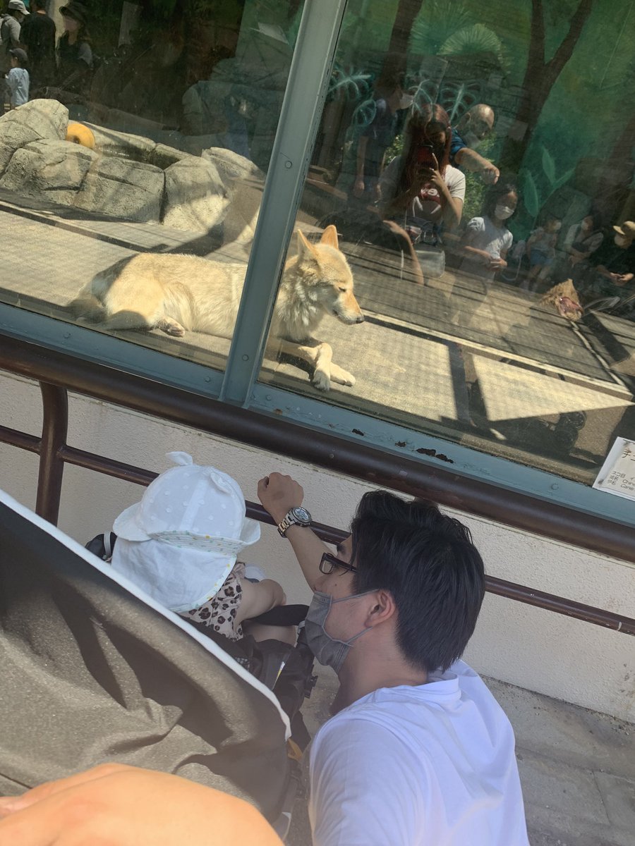 1008Kancharo's tweet photo. 天王寺動物園🦒
暑い中でも楽しめました💕
裕也抱っこ長い時間お疲れ様でした🙇‍♀️💕
また行こな✌️ https://t.co/Q5AvYArbXd