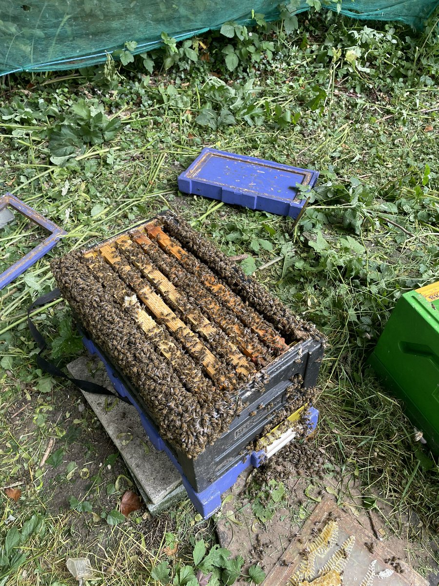 Need a bigger box…