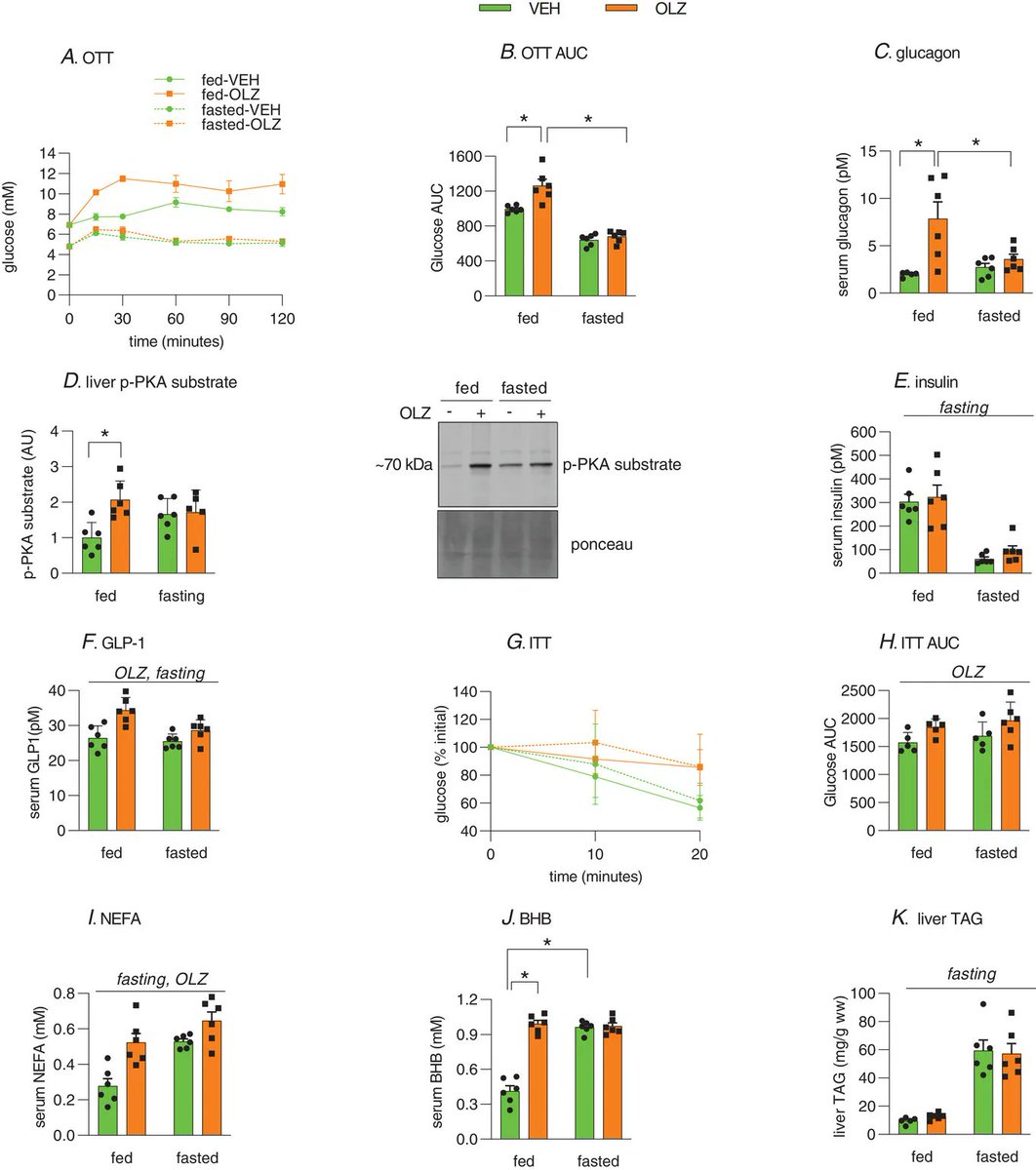New study from <a href="/UofG_HHNS/">HHNS at UofG</a> <a href="/HeshamShamshoum/">Hesham Shamshoum</a> on 'Fasting or the short-term consumption of a ketogenic diet protects against antipsychotic-induced hyperglycaemia in mice' 👉 buff.ly/3tq5Yin