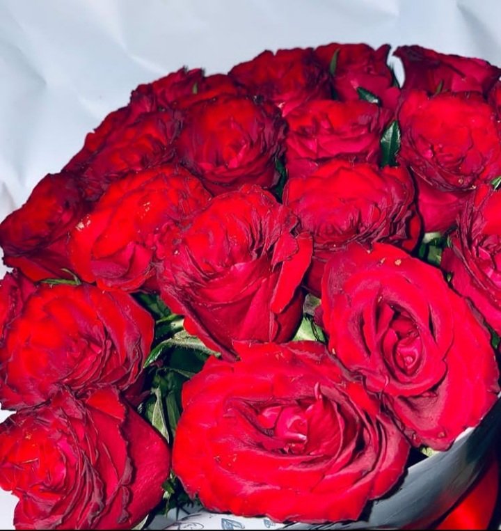 Shuwea1's tweet photo. Maua Hufurahisha sana Moyo.....
#FlowerObsession
#FlowerLover https://t.co/1PEFijcoj9
