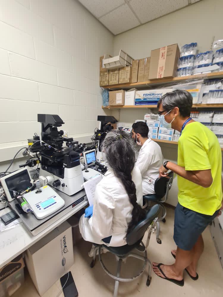 Students are picking up zygote micro injection techniques quickly under the guidance of  <a href="/rrbehringer/">Richard Behringer</a> ! #mousecourse2022 <a href="/cshlcourses/">CSHL Courses</a> <a href="/NikonInst/">Nikon Microscope Solutions</a> <a href="/NikonUSA/">NikonUSA</a>