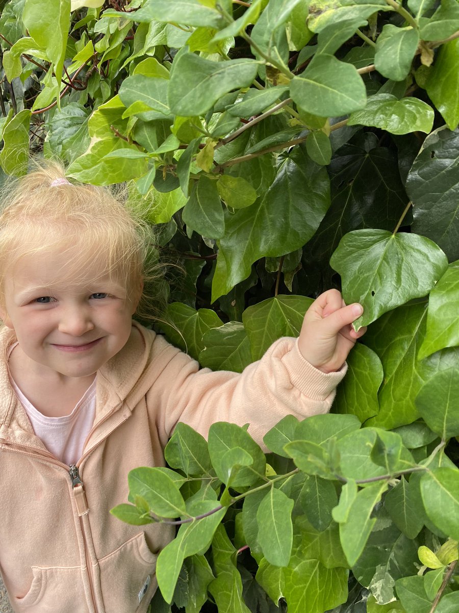 Violet found a clue that the very hungry caterpillar was in  knarsborough <a href="/SouthfieldFS/">Mr.F @ Southfield</a>