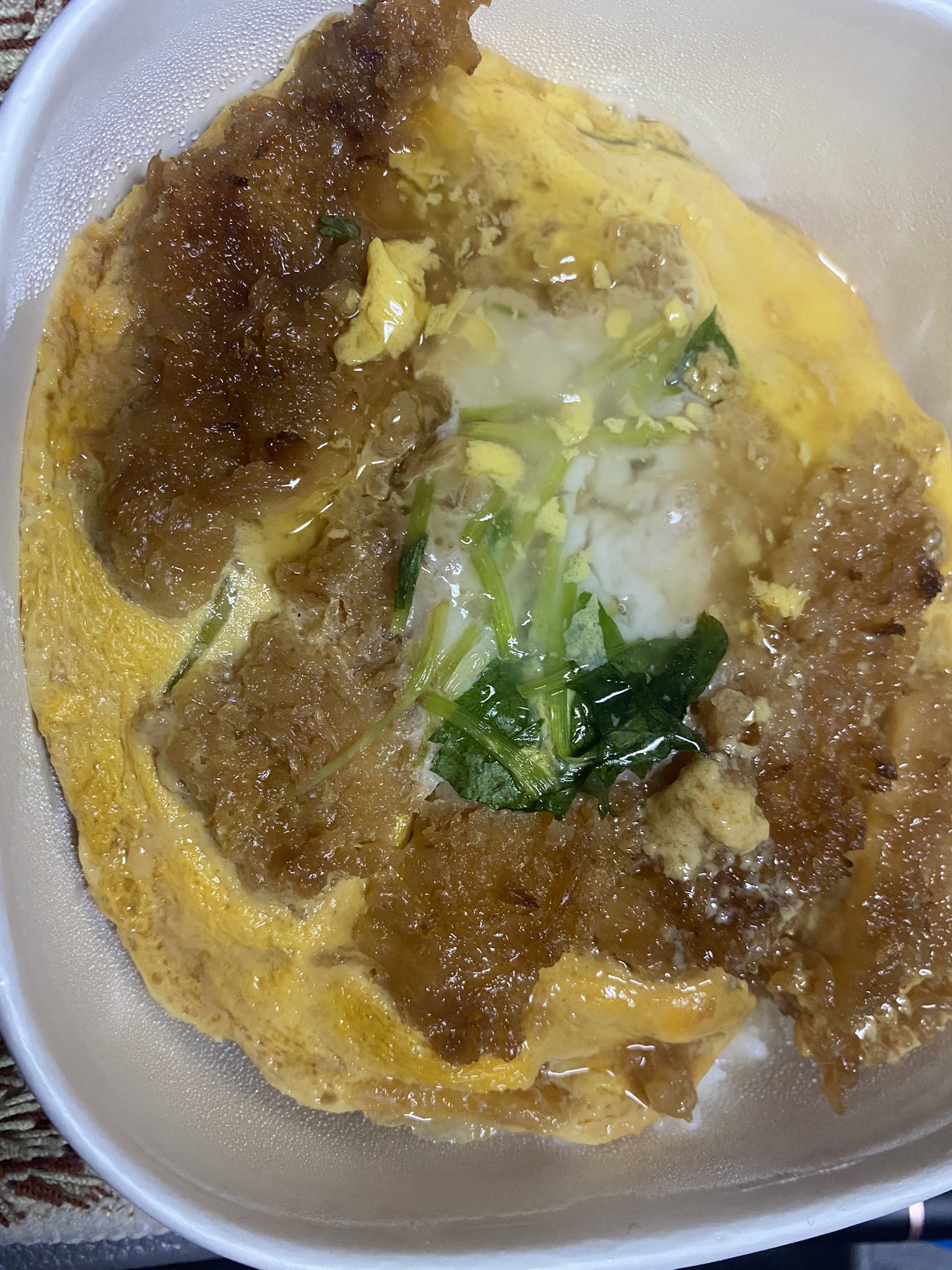レーサーになりたかった トラックドライバー 関東から卸し先の九州に到着 ガッツリ食べて 朝卸しの時間までガッツリ寝ます おやすみなさい 関東から10キロ セブンイレブン カツ丼 ちゃんぽん 長距離トラック 長距離ドライバー 大型トラック