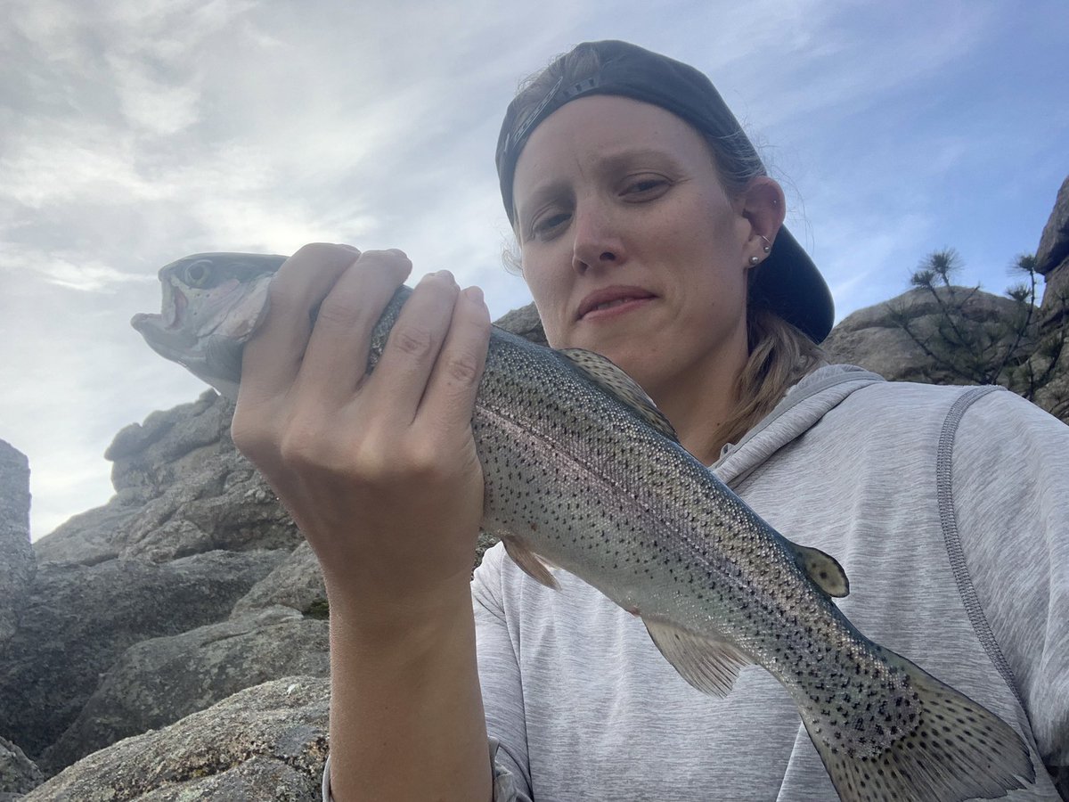 PHishnDean's tweet photo. Solo fishin the black hills, nymph rigs and dry flies #flyfishing #simms #orvis https://t.co/Iw6vcqMFai